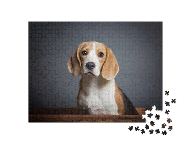 Puzzel 1000 stukjes „Portret van een beagle puppy“