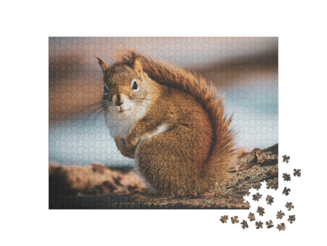 Puzzel 1000 stukjes „Kleine eekhoorn in het bos“