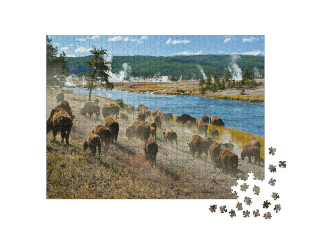 Puzzel 1000 stukjes „Een kudde bizons op de Firehole-rivier in Yellowstone National Park“