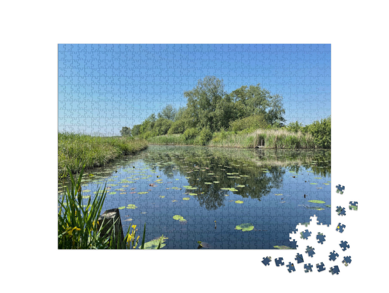 Puzzel 1000 stukjes „Meer in Nationaal Park De Alde Feanen in Friesland, Nederland“