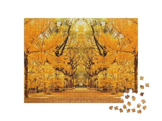 Puzzel 1000 stukjes „Central Park Herfst in Midtown Manhattan New York City“