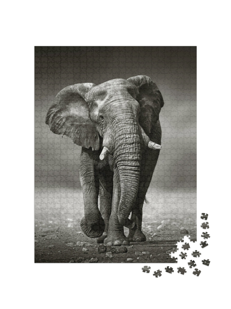 Puzzel 1000 stukjes „Afrikaanse olifant in Etosha National Park, Namibië, zwart en wit“