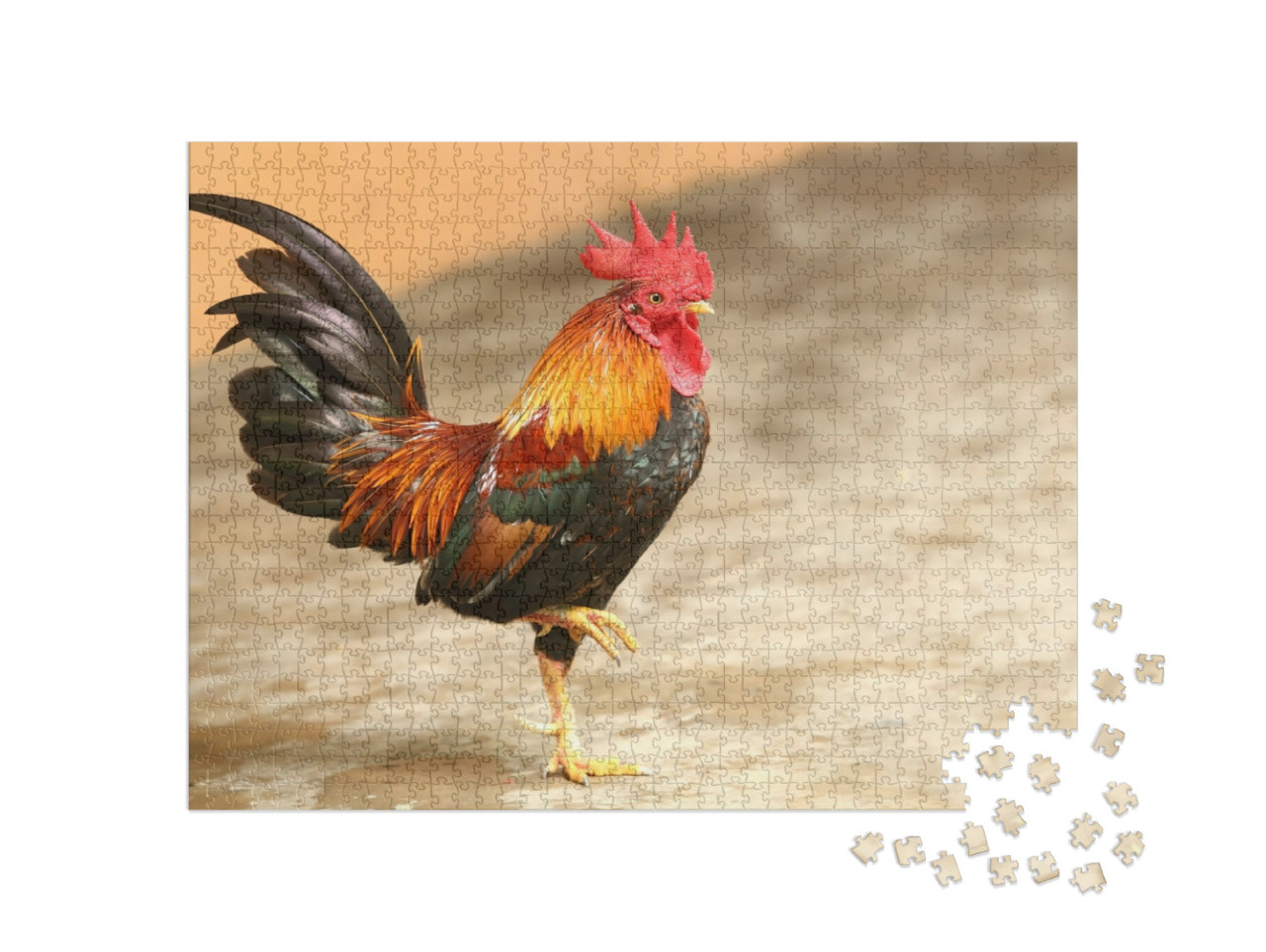 Puzzel 1000 stukjes „Cock“