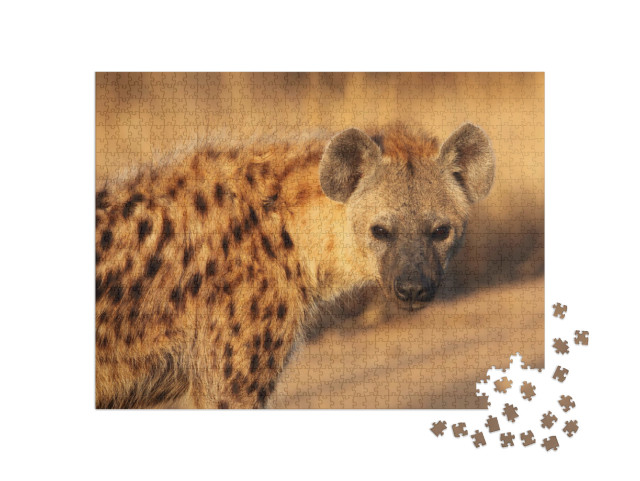 Puzzel 1000 stukjes „Close-up van een gevlekte hyena“