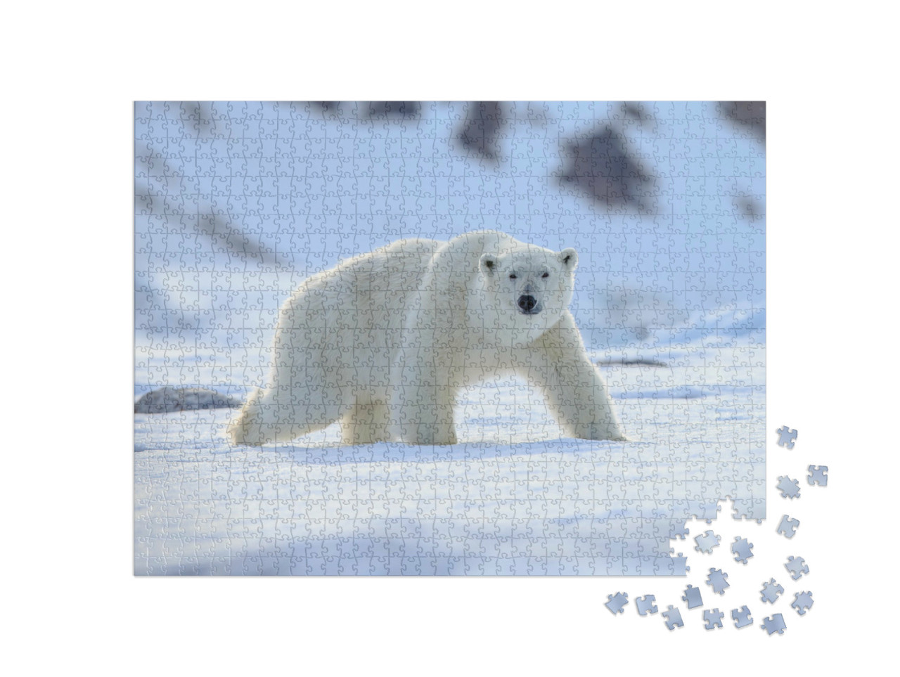 Puzzel 1000 stukjes „Een ijsbeer, Ursus maritimus“