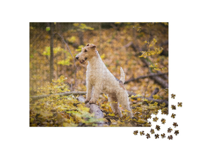 Puzzel 1000 stukjes „Draadharige Fox Terrier Herfst“