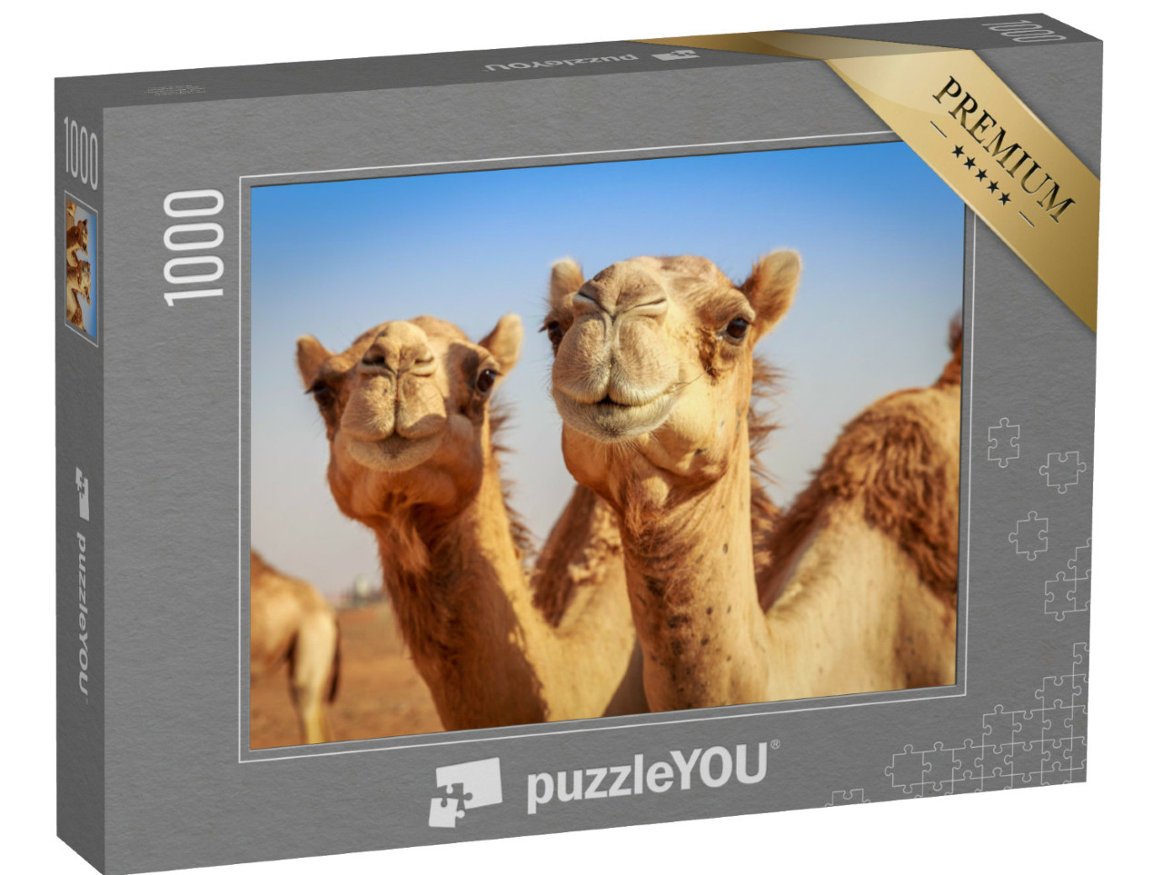 Puzzel 1000 stukjes „Kamelen in het wild in Arabië“