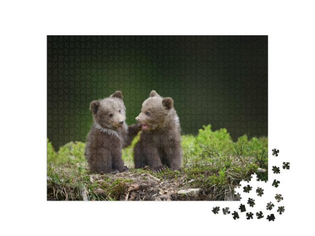 Puzzel 1000 stukjes „Twee kleine berenwelpjes in het bos“