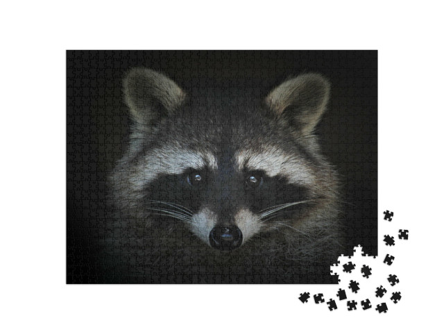 Puzzel 1000 stukjes „Portret van een wasbeer“