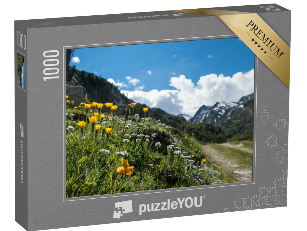 Puzzel 1000 stukjes „Fantastisch mooi zomerlandschap in de Ötztaler Alpen“