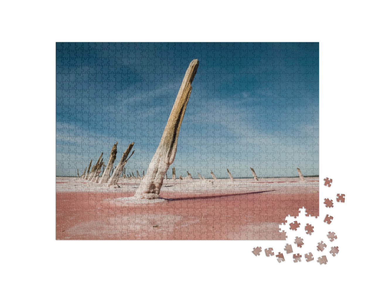 Puzzel 1000 stukjes „Salinas Grande, La Pampa, Argentinië“