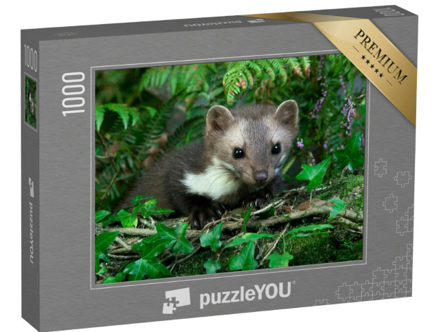 Puzzel 1000 stukjes „Steenmarter in groene natuur“