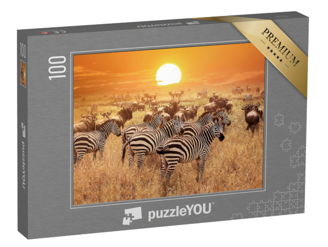 Puzzel 100 stukjes „Zebra bij zonsondergang in Serengeti Nationaal Park, Afrika, Tanzania“