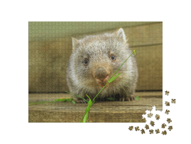 Puzzel 1000 stukjes „Schattige wombat welp aan het eten“