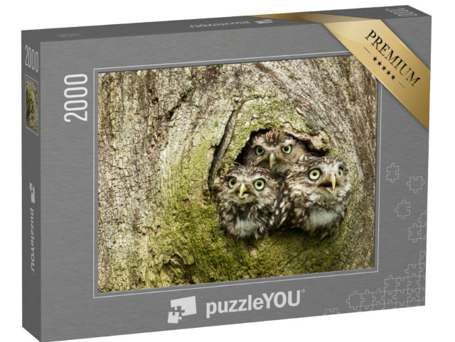 Puzzel 2000 stukjes „Drie uiltjes in een boomholte“