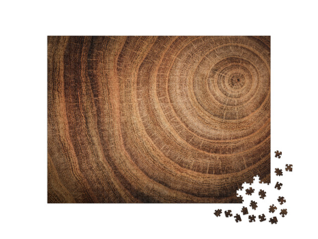 Puzzel 1000 stukjes „Stronk van een gevelde eik met stam en jaarringen“