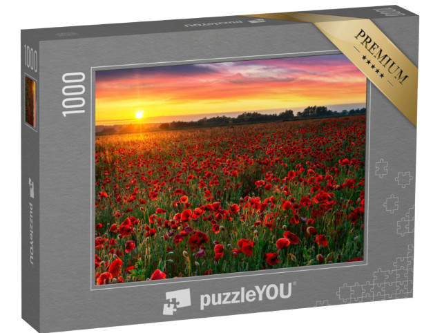 Puzzel 1000 stukjes „Prachtig klaprozenveld bij zonsopgang“