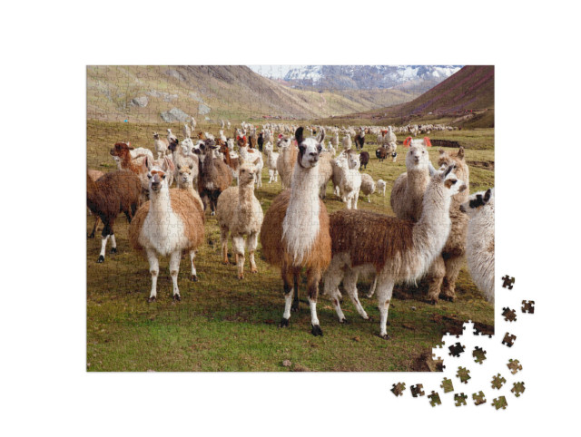 Puzzel 1000 stukjes „Lama's en alpaca's in Peru“