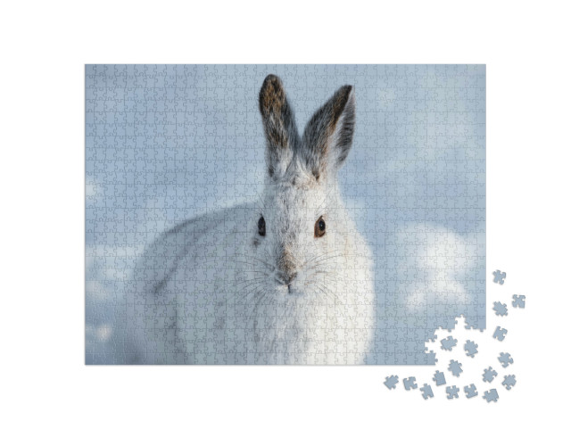 Puzzel 1000 stukjes „Witte sneeuwschoenhaas met bruine oren“