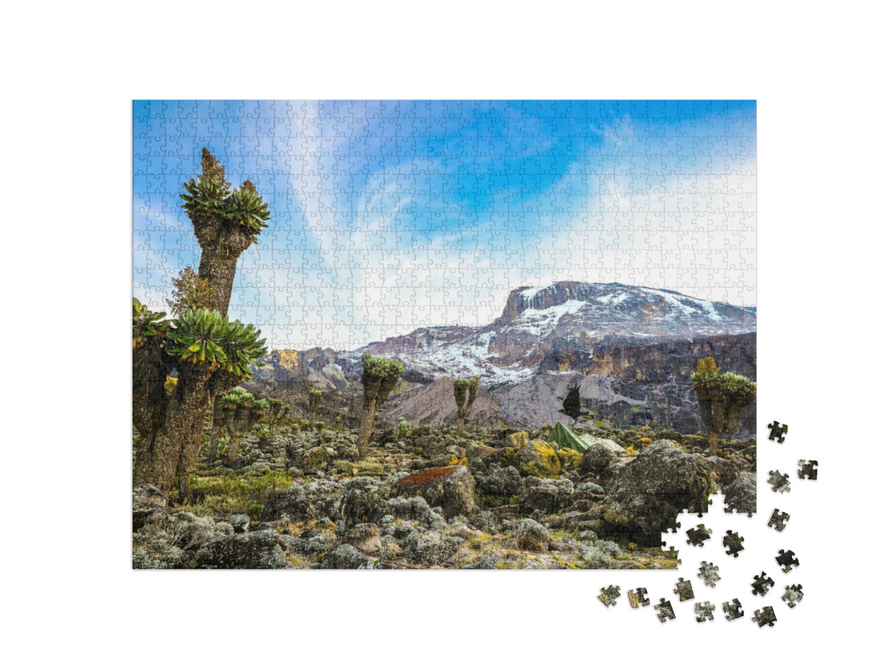 Puzzel 1000 stukjes „Kamperen op de Kilimanjaro in tenten om de gletsjers te zien, Afrika“