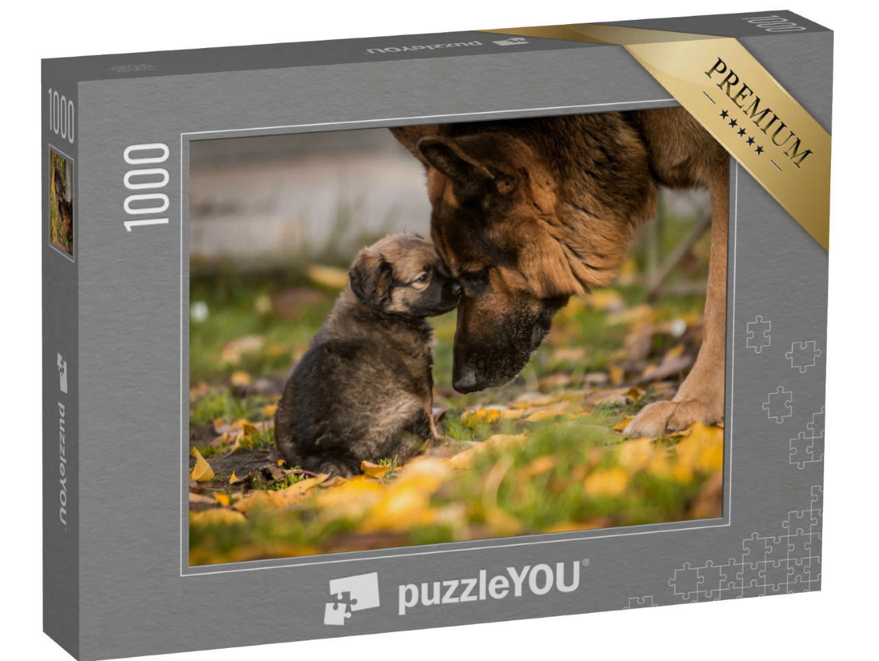 Puzzel 1000 stukjes „Liefde tussen puppy en volwassen Duitse Herdershond“