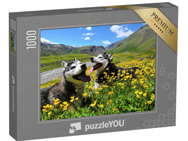 Puzzel 1000 stukjes „Twee Siberische husky's in de bergen van de Kaukasus“