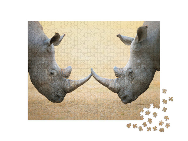 Puzzel 1000 stukjes „Witte neushoorns, kop aan kop - Kruger National Park, Zuid-Afrika“
