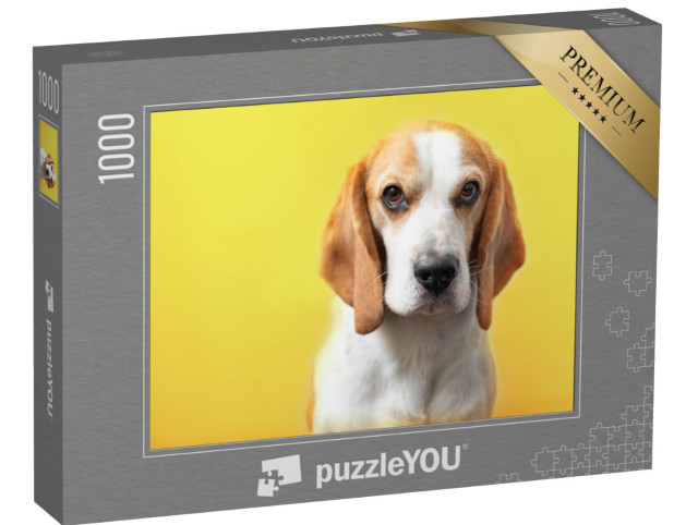 Puzzel 1000 stukjes „Portret van een beagle“