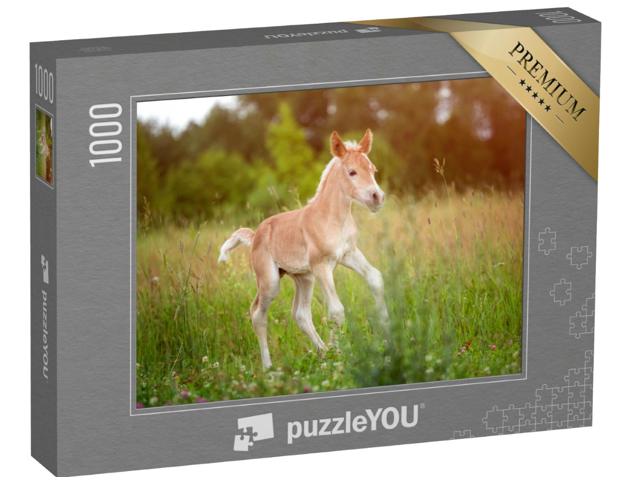 Puzzel 1000 stukjes „Prachtig Haflinger veulen“