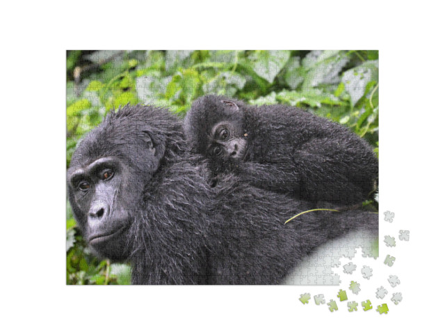 Puzzel 1000 stukjes „Babygorilla liggend op de rug van zijn moeder in het Bwindi Impenetrable Forest“