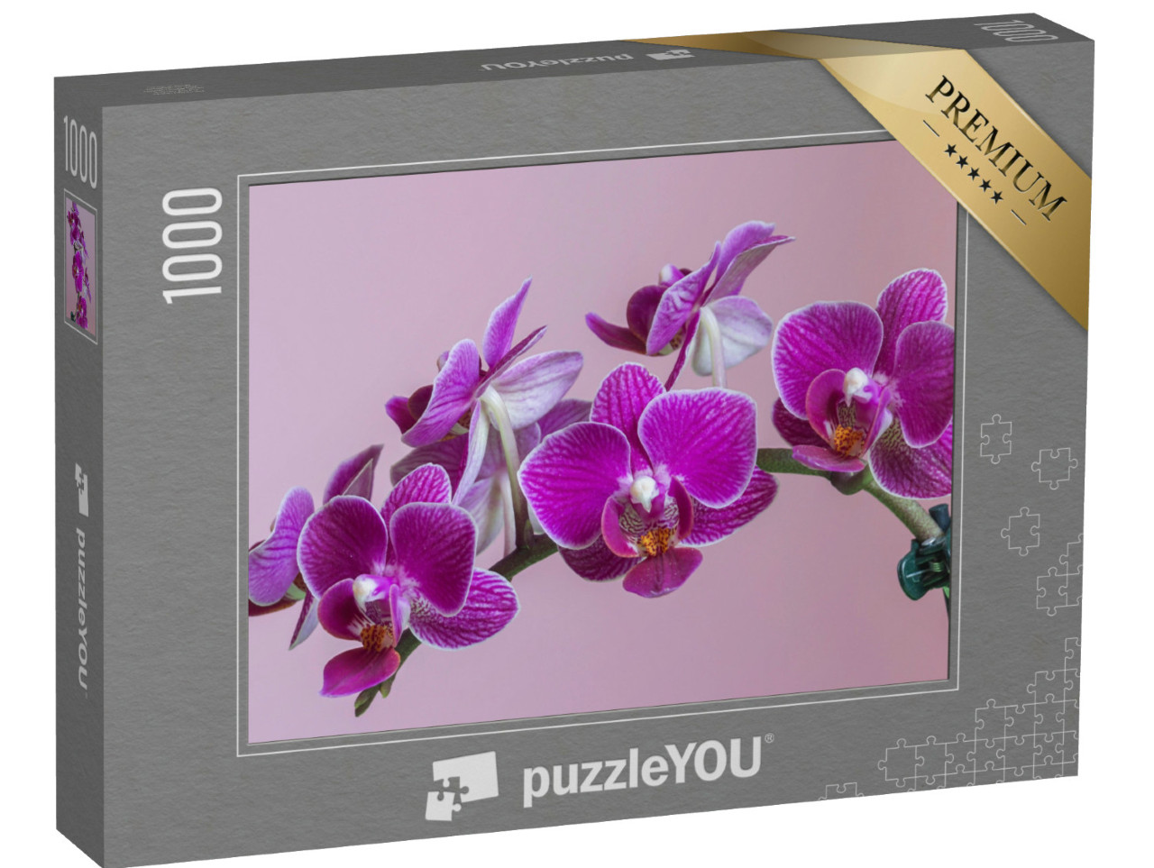Puzzel 1000 stukjes „Mottenorchis als prachtige paarse orchidee“