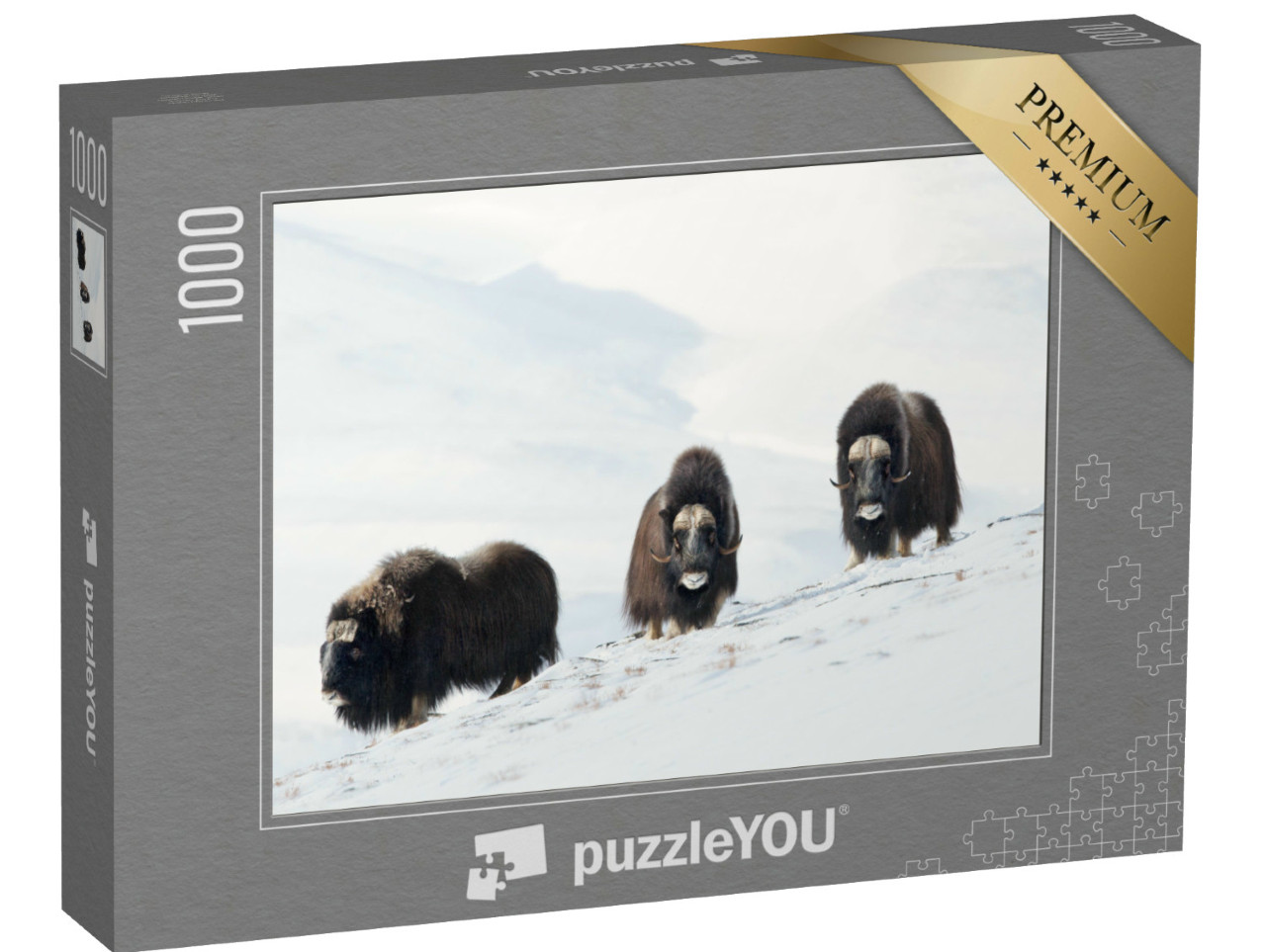 Puzzel 1000 stukjes „Drie muskusossen in het besneeuwde Dovrefjell-gebergte, Noorwegen“