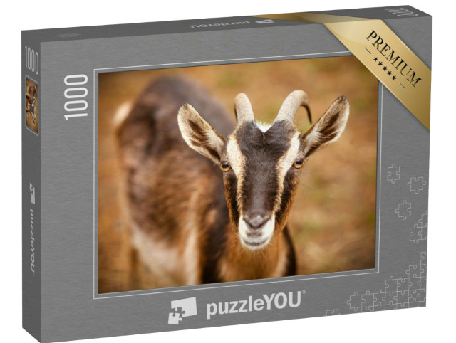 Puzzel 1000 stukjes „Portret van een geit op een boerderij“