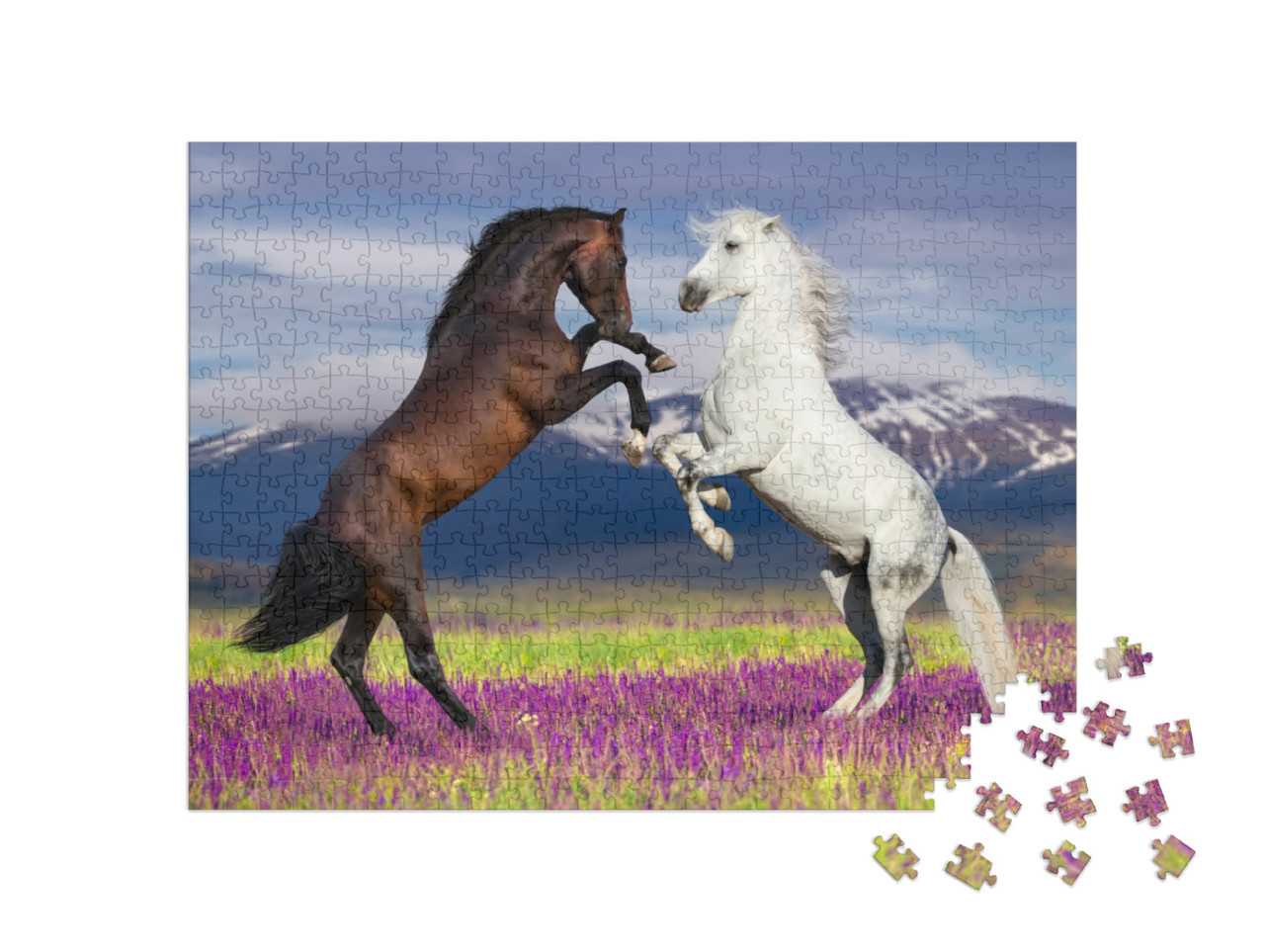 Puzzel 500 stukjes „Wilde schoonheid: twee dansende paarden“
