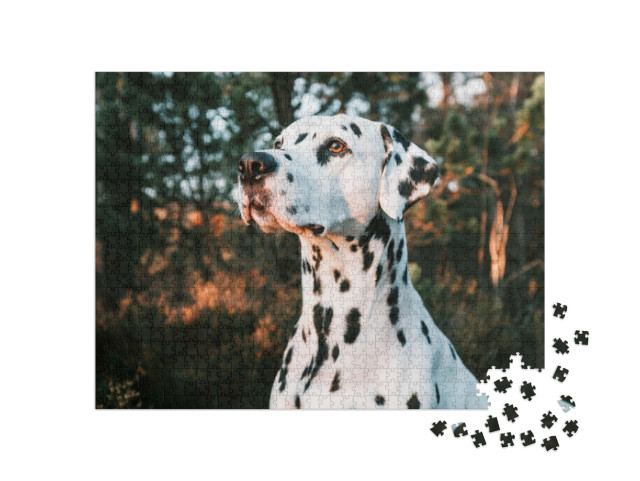 Puzzel 1000 stukjes „Een dalmatiër bij zonsondergang“