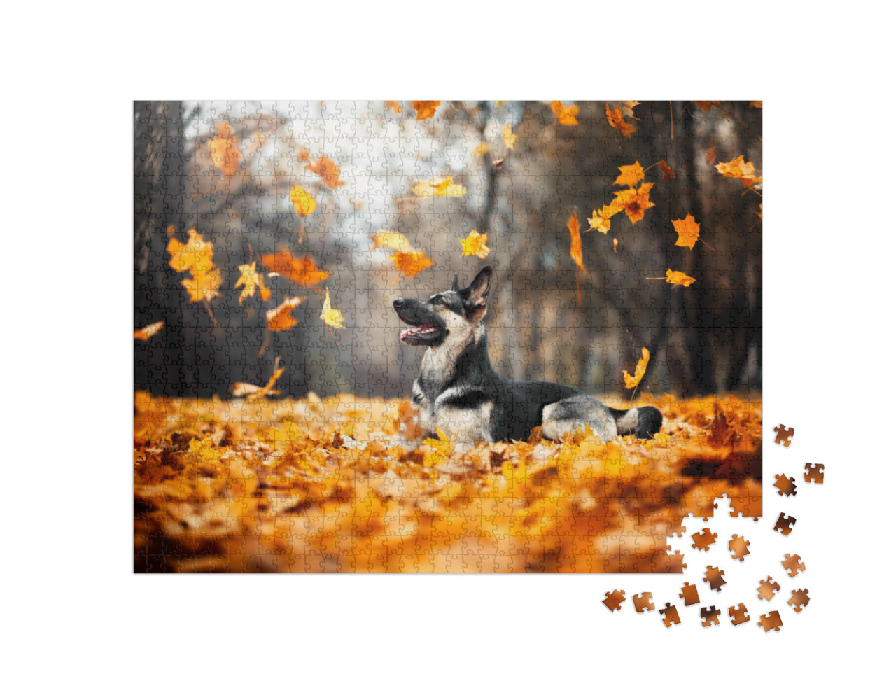 Puzzel 1000 stukjes „Herdershond in de wervelende herfstbladeren“