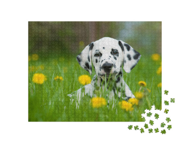 Puzzel 1000 stukjes „Dalmatiër“