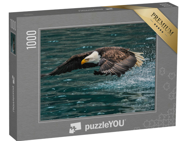 Puzzel 1000 stukjes „Amerikaanse zeearend hapt naar een vis“