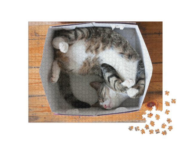 Puzzel 1000 stukjes „Gestreepte slapende kat, kartonnen doos als bed“
