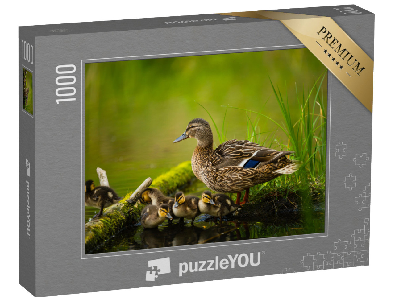 Puzzel 1000 stukjes „Vrouwelijke wilde eend met kleine eendjes“