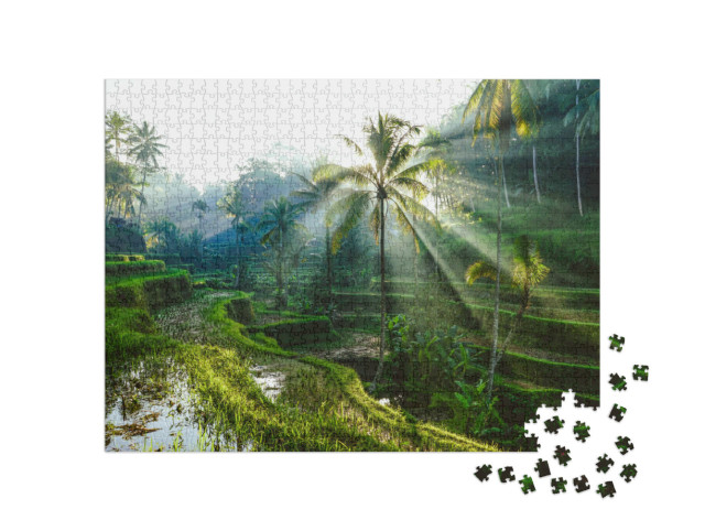 Puzzel 1000 stukjes „Zonnestralen over Balinese rijstterrassen“