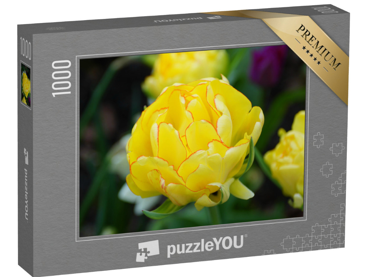 Puzzel 1000 stukjes „Close-up van een gele tulp“