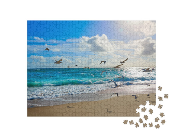 Puzzel 1000 stukjes „Zeemeeuwen bij Palm Beach, Florida, VS“