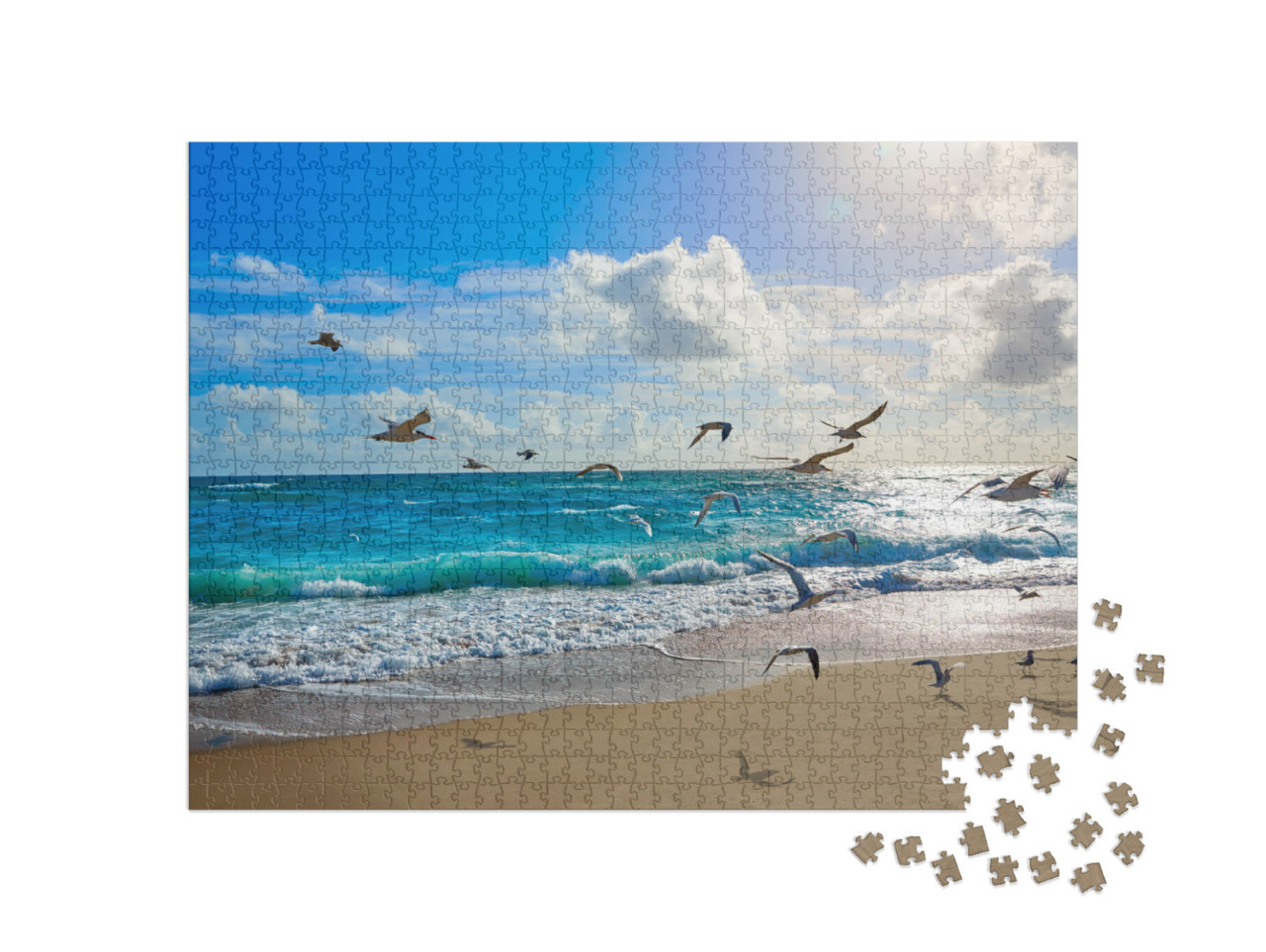Puzzel 1000 stukjes „Zeemeeuwen bij Palm Beach, Florida, VS“