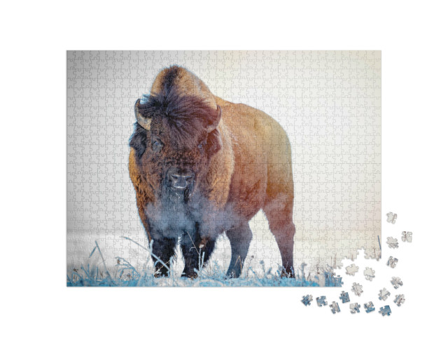 Puzzel 1000 stukjes „Prairiebizons op een winterochtend“