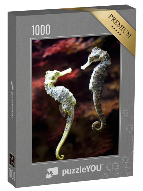 Puzzel 1000 stukjes „Verliefd langsnuitzeepaardje“