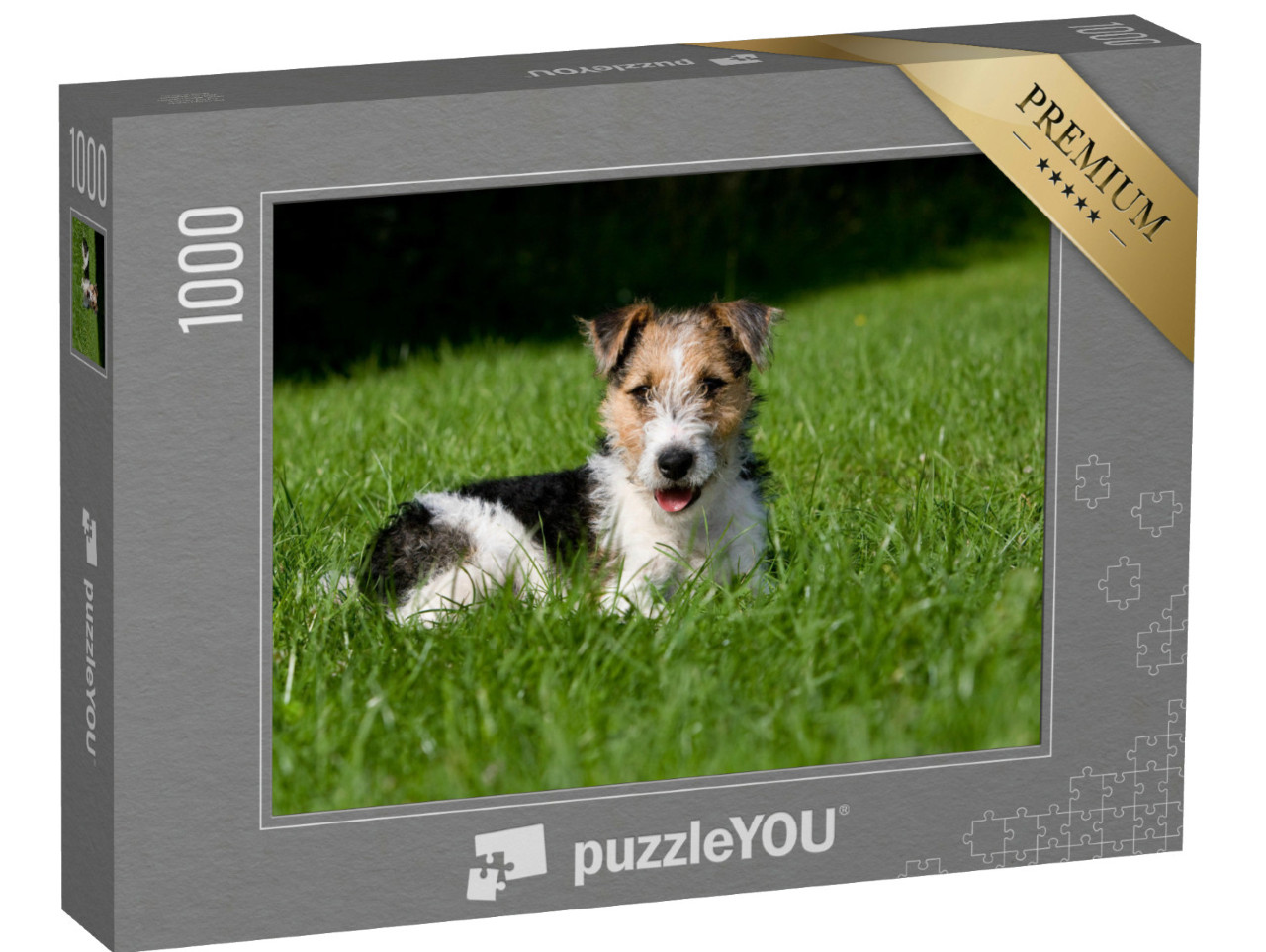 Puzzel 1000 stukjes „Draadharige fox terrier puppy in het gras“