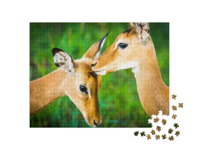 Puzzel 1000 stukjes „Jonge impala antilope“