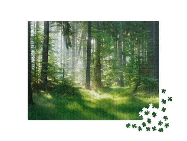 Puzzel 1000 stukjes „Een mystieke sfeer in het sparrenbos“