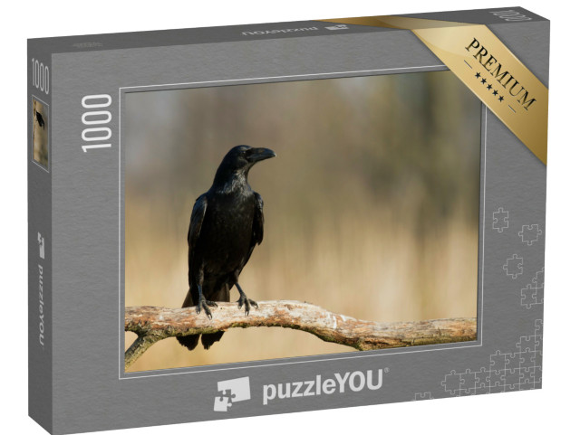 Puzzel 1000 stukjes „Raaf op een tak“